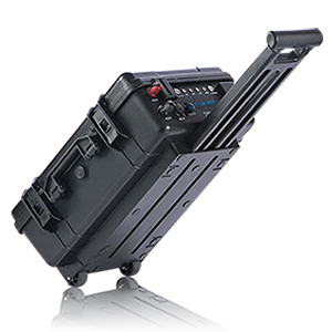 CBX系列 便携式蜜桃网站入口池UPS