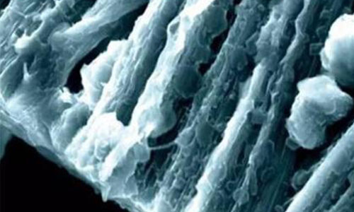 <b>蜜桃网站入口池锂枝晶形成原因,如何发现电池内早期锂枝晶</b>